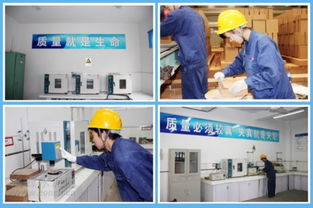 海螺耐火材料公司 服務水泥主業(yè)，打造行業(yè)精品耐火材料
